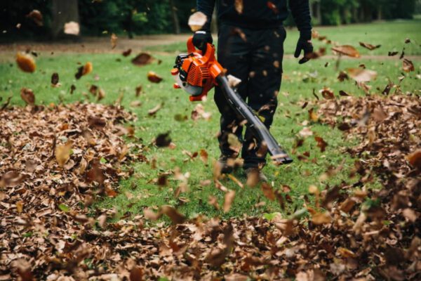 Lehepuhur ECHO ES-250ES + ASPEN 2 bensiin 5L