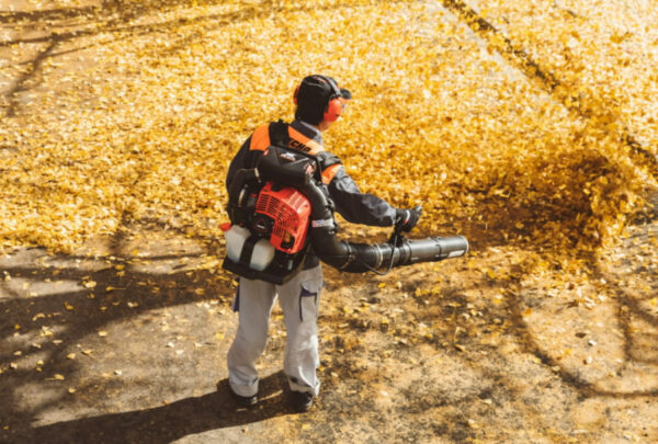 190114821 Lehepuhur Echo PB-8010 X-Series + ASPEN 2 bensiin 5L