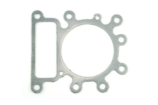 Plokikaane tihend | Briggs&Stratton