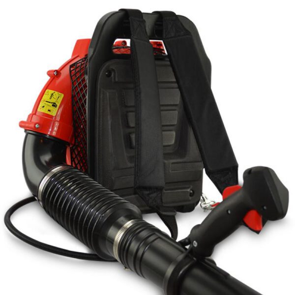 Seljaskantav lehepuhur Hecht 952