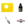 6761(4) Hoolduskomplekt muruniidukile | Briggs & Stratton 450e 500e Series