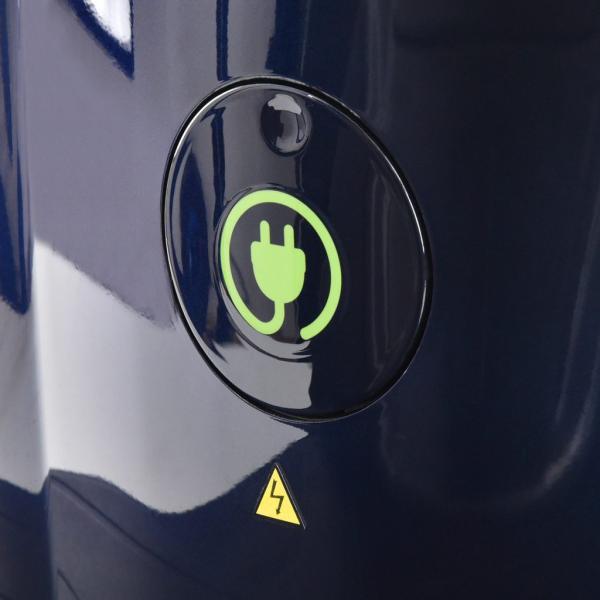 BLUE9 Elektriroller Citis Max 3-rattaline (koos korviga)