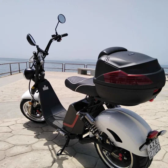 Elektriroller Revolux CityCoco HL 3.0