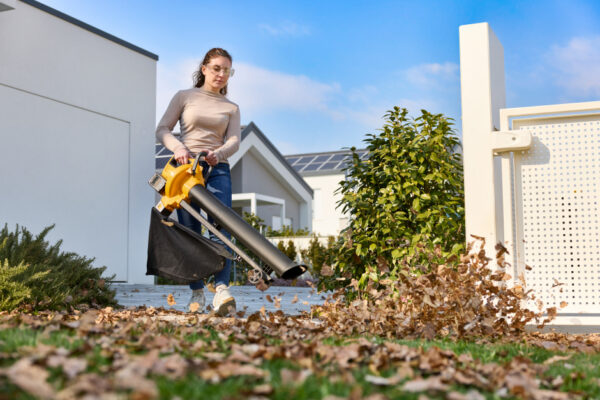 STIGA AKULEHEPUHUR-IMUR VS 100e Kit (komplekt 2 akuga + akulaadija)