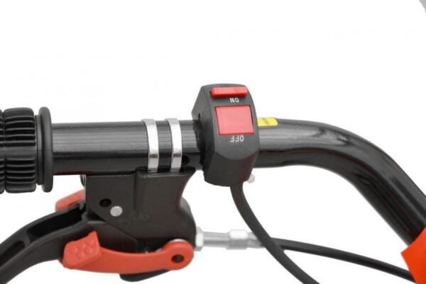 Mullafrees Hecht 796 + mootoriõli