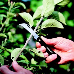 139920523 Aianuga Fiskars