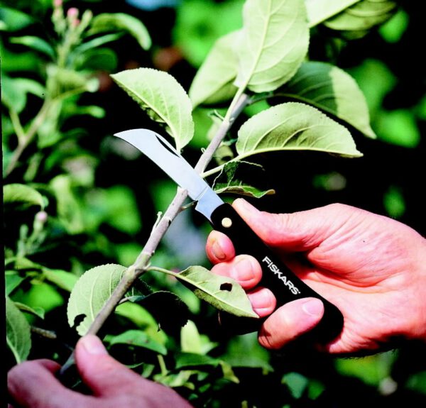 139920523 Aianuga Fiskars