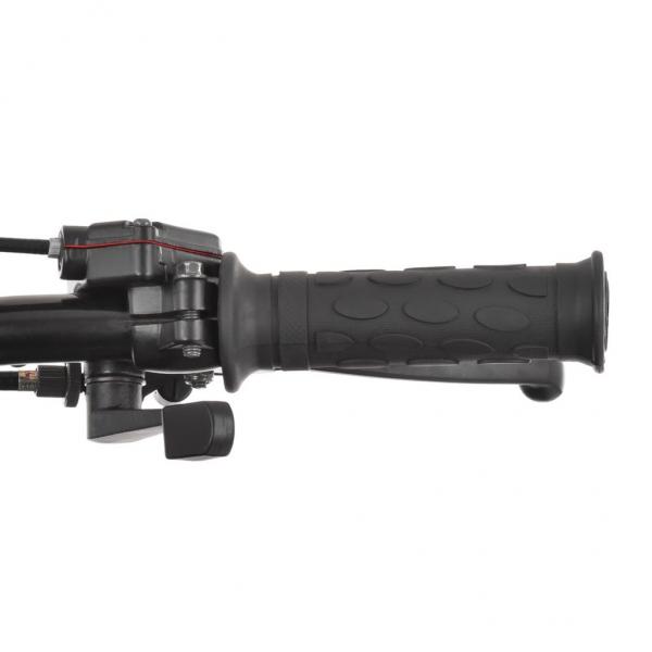 15293 Bensiinimootoriga ATV Hecht 56126