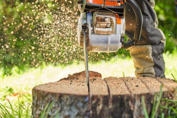 54056_composting_tree_hq_p_2021-10_0014_global_1 Mootorsaag Stihl MS 212 C-BE