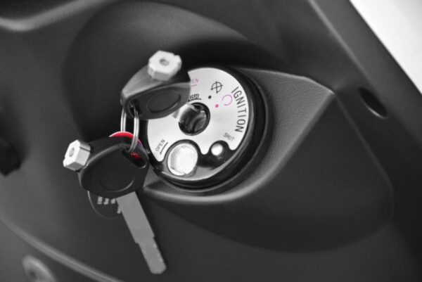 8859 Elektriroller Hecht Citis 3000W