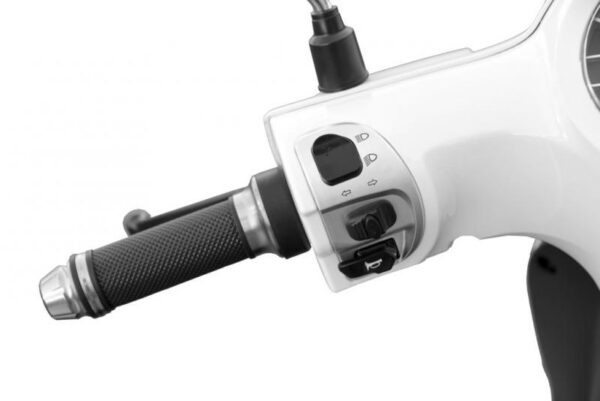 8860 Elektriroller Hecht Citis 3000W