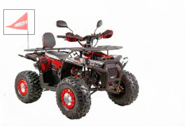 H56130 Bensiinimootoriga ATV Hecht 56130