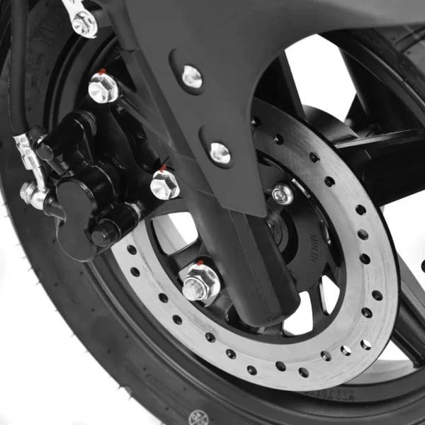 Elektriroller Hecht Equis 3000W