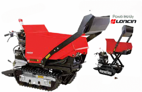 HECHT 2960 Transpordimasin-laadur Hecht 2960 (bensiinimootoriga) 500KG