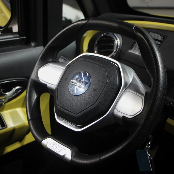 IMG-5151-2-600x600 Elektriauto EV6000-Pickup Luqi Revolux 150