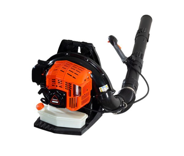 5638455125 Lehepuhur Echo PB-5810T + ASPEN 2 bensiin 5L